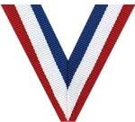 Crown Awards Academic Medals- 2' STEAM Science Technology Engineering Art Math Gold Medals Prime