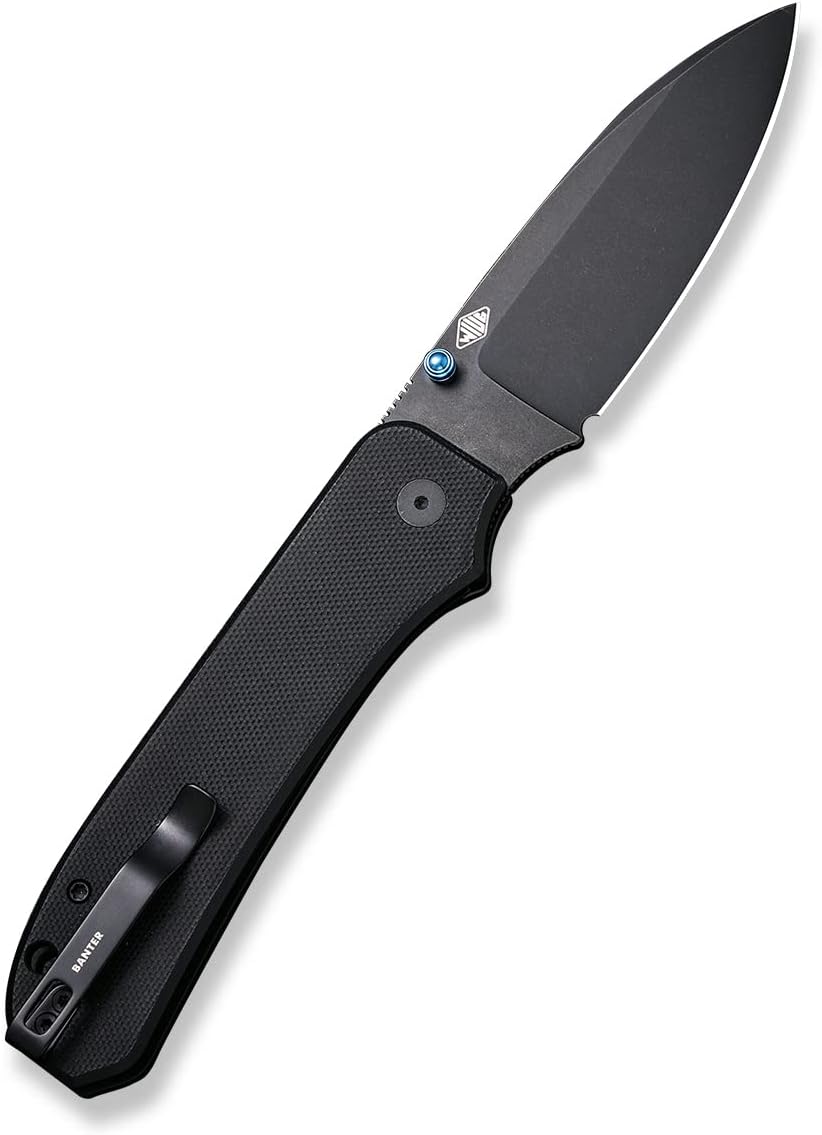 WeKnife Big Banter Pocket Knife for EDC,Ben Petersen Folding Knife with 3.69'CPM 20CV Blade G10 Handle,Titanium Thumb Stud Opener WE21045-1 (Black)