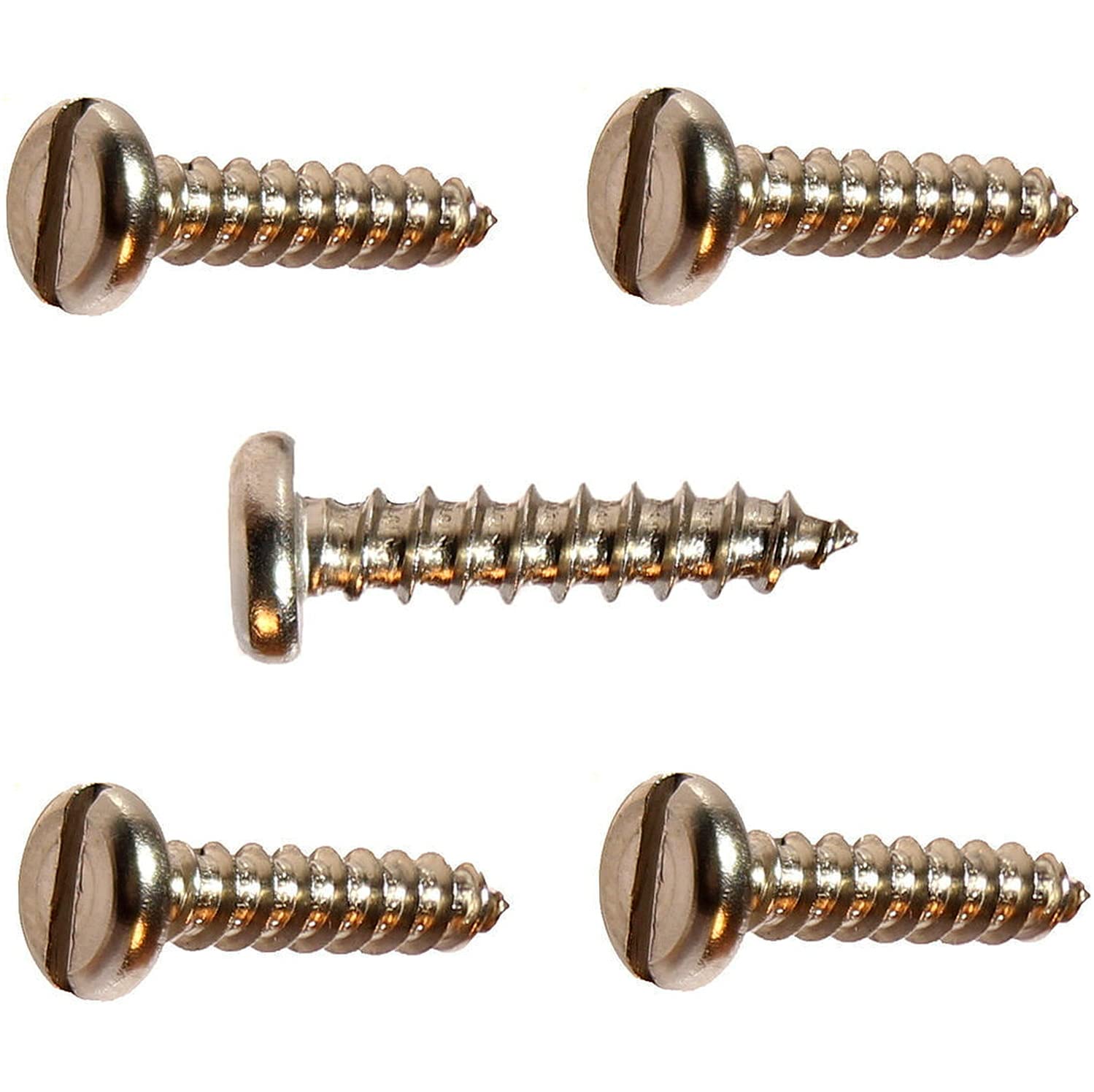 Slotted pan Head Sheet Metal Tapping Screw Kit Hardware Stainless Steel #8X2' Pack of 1000 Fastener Set LS18298F