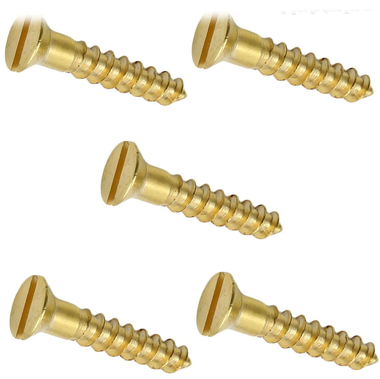 Slotted Flat Head Wood Screw Kit Hardware Solid Commercial Brass #8X2' Pack of 1000 Fastener Set LS22085F