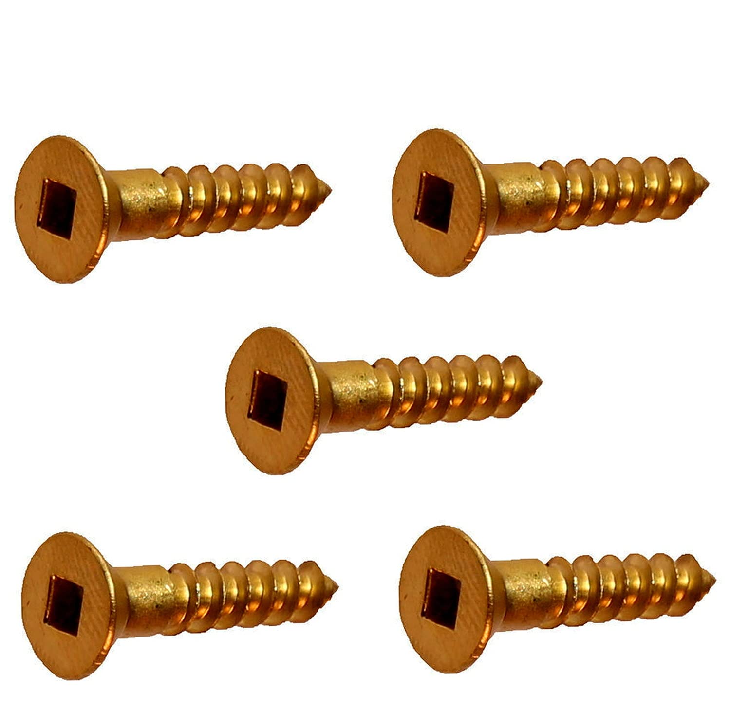 #8 x 2' Brass Wood Screws Kit Hardware Square Drive, Flat Head Countersunk Pack of 500 Fastener Set LS20610F