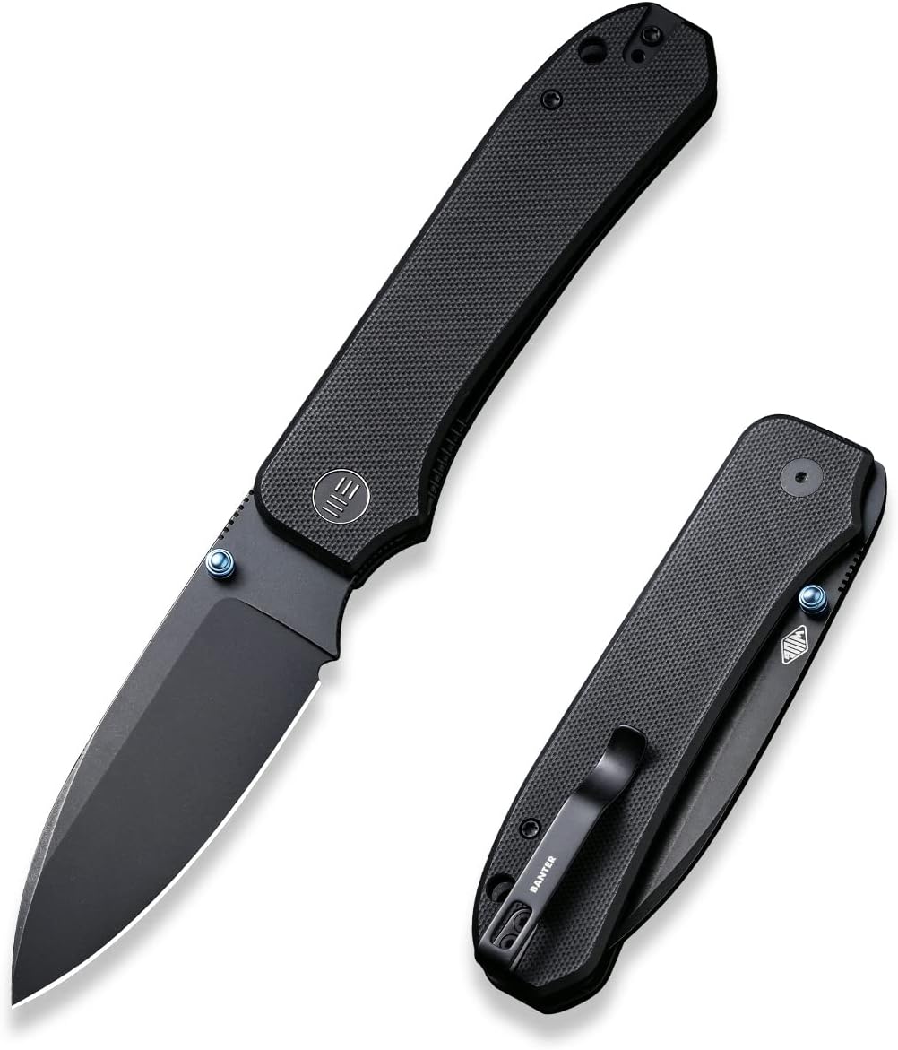 WeKnife Big Banter Pocket Knife for EDC,Ben Petersen Folding Knife with 3.69'CPM 20CV Blade G10 Handle,Titanium Thumb Stud Opener WE21045-1 (Black)