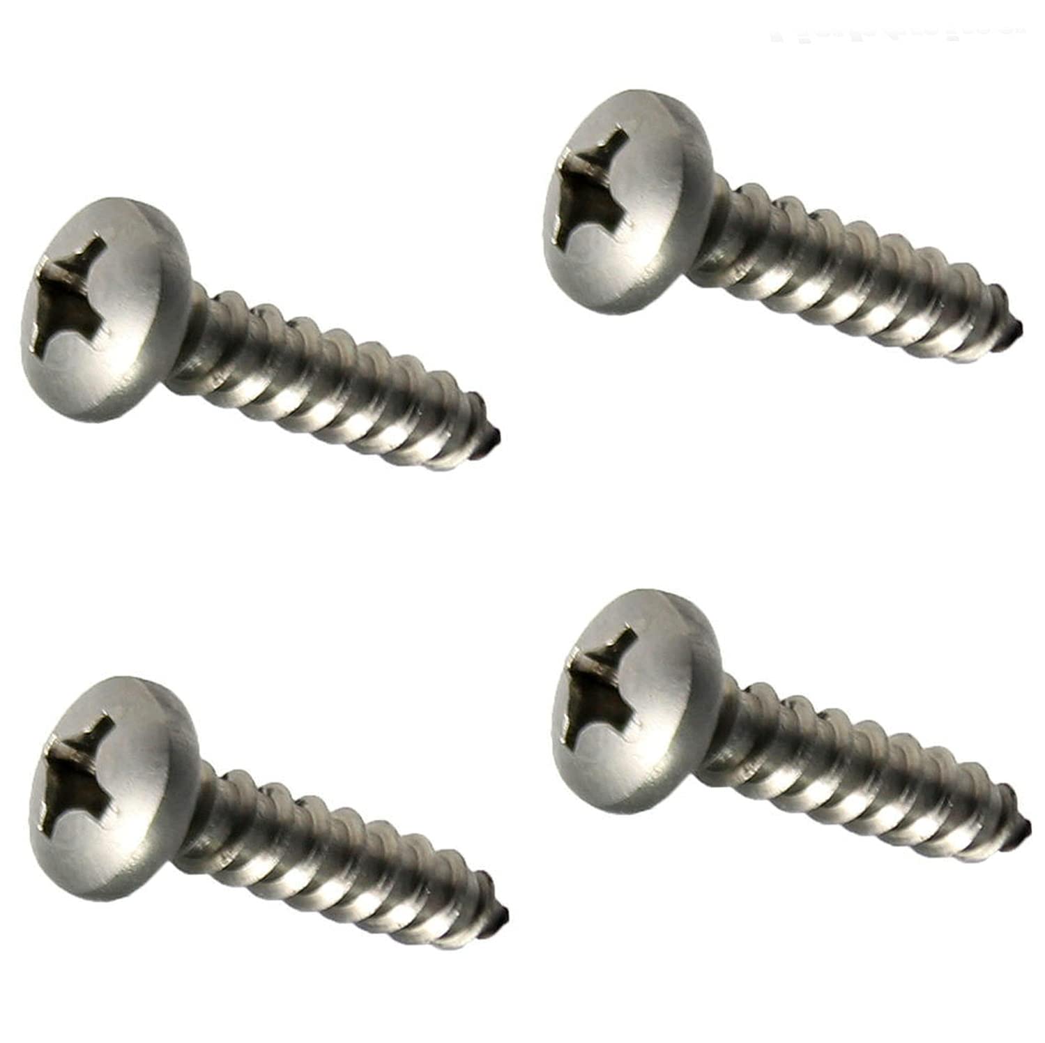 Pan Head Sheet Metal Screws Kit Hardware 316 Stainless Steel Marine Grade #8X2' Pack of 250 Fastener Set LS14303F
