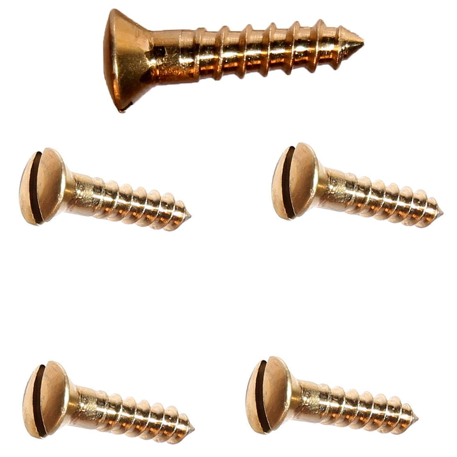 #8 x 2' Silicon Bronze Wood Screws Kit Hardware Oval Head Slotted Drive Pack of 100 Fastener Set LS16904F