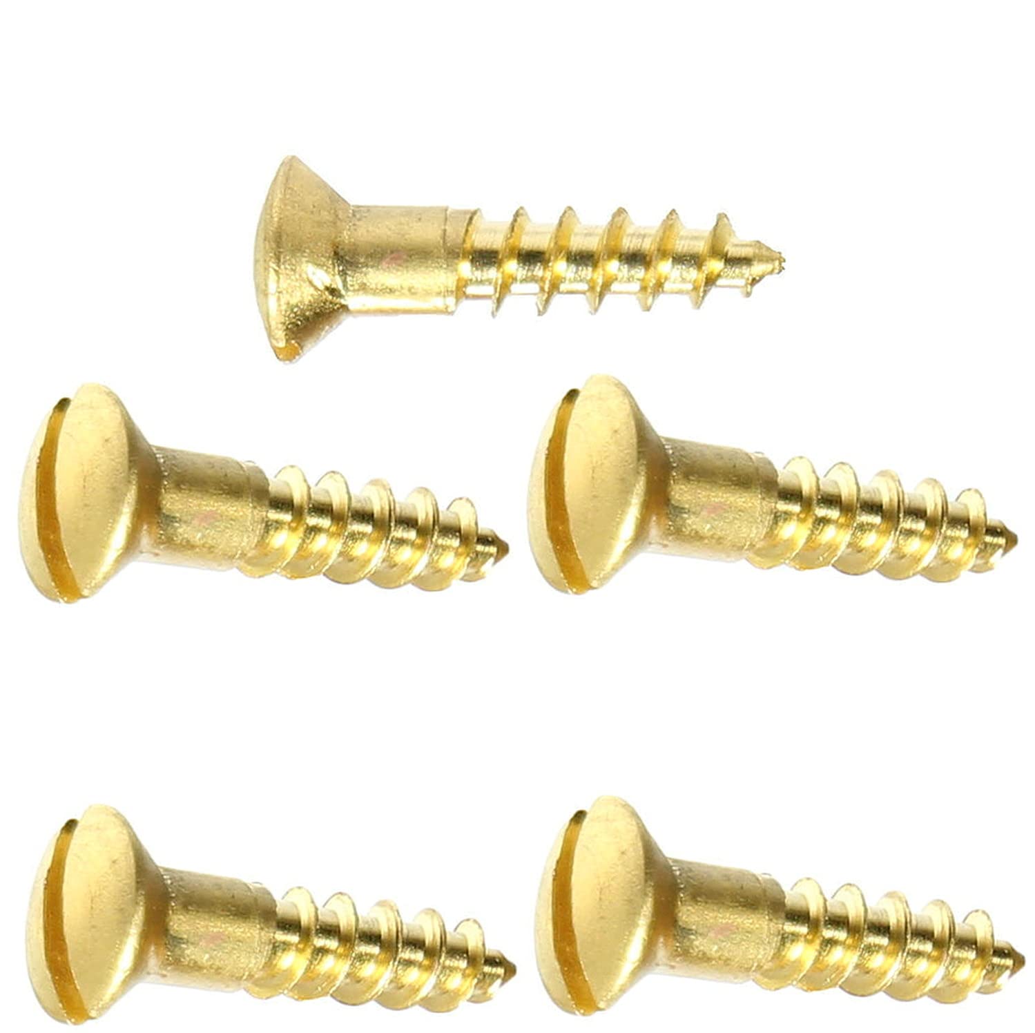 #8 x 2' Solid Brass Wood Screws Kit Hardware Oval Head Slotted Drive Quantity 100 Fastener Set LS10714F