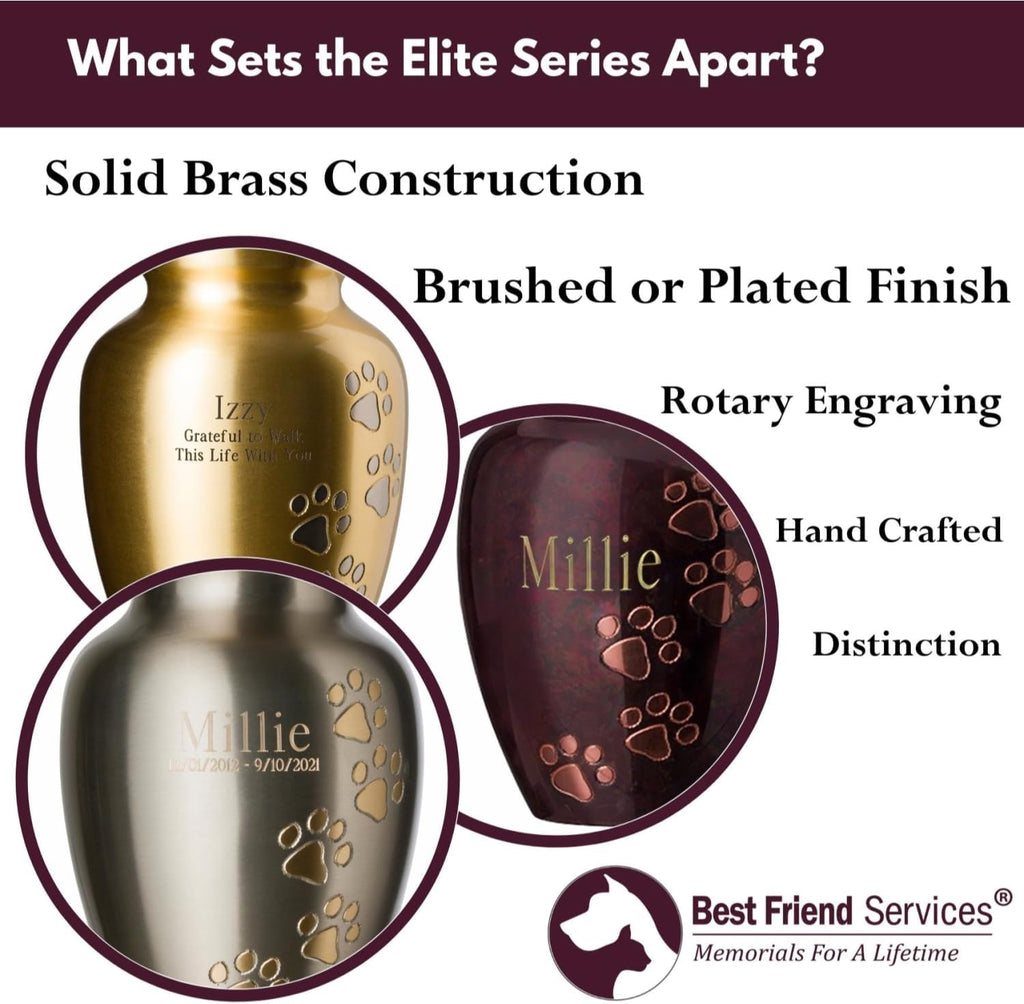 Ottillie Paws Elite Series Pet Urn for Dogs and Cats with Personalized Engraving (Small - Pets up to 25 lbs, Brass, Horizontal Pewter Paws)