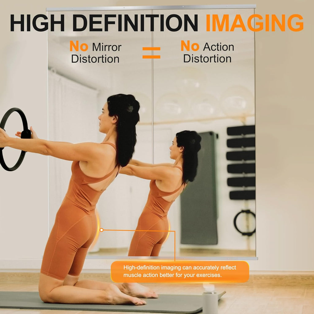 Delma Home Gym Mirror,70''x24''x2PCS Silver,Large Full Body Tempered Glass Frameless, Wall-Mounted for Gym, Yoga, Garage, Bedroom, Bathroom