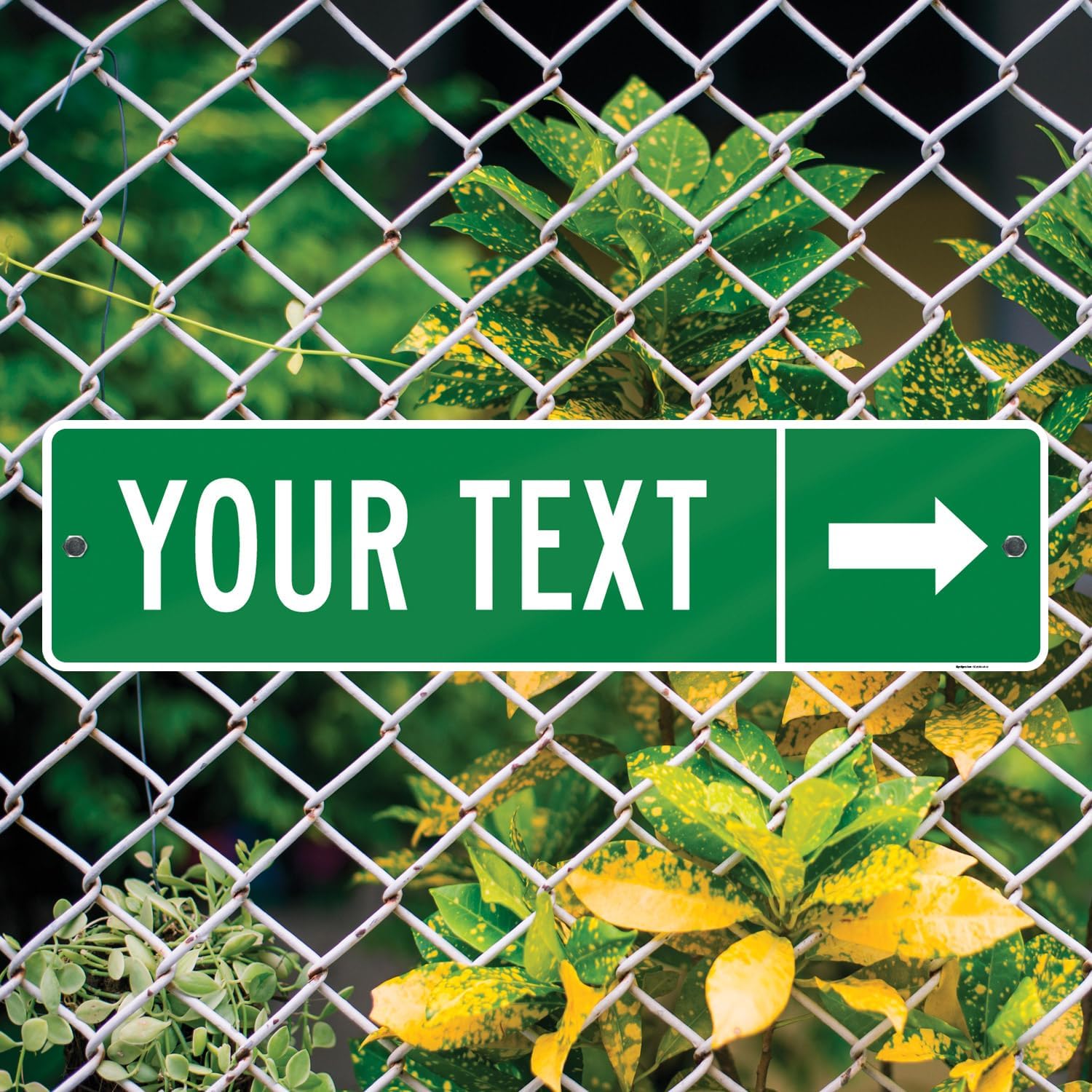 Custom Directional Sign, Personalized Direction Arrow Sign, 42x12 Inches, ACM, Fade Resistant, Made in USA by Sigo Signs