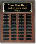 Perpetual Plaque Award 15'X18', 36 Multiple Name plates, Personalized Perpetual Award, Engraved Trophy, Achievement Award, Sport Award, Ongoing Award, Employee Recognition, Perpetual Trophy Award