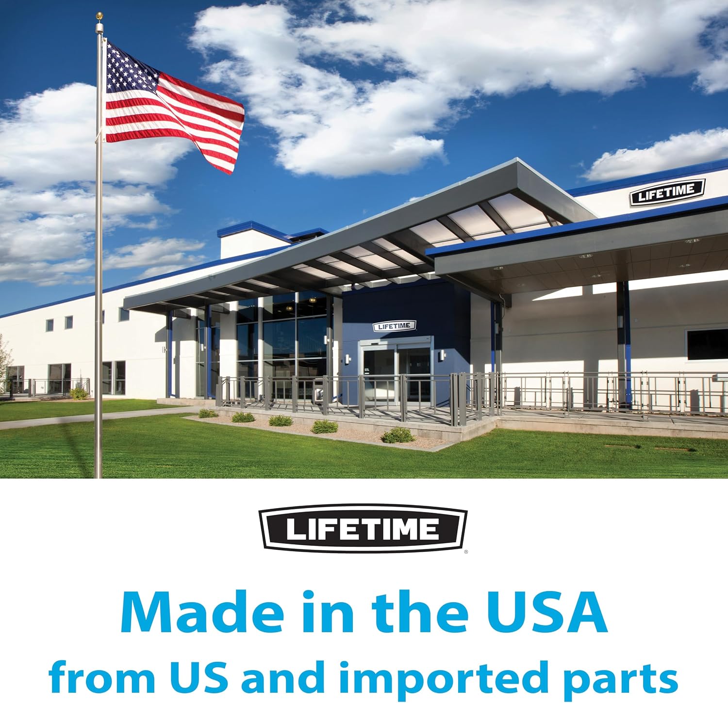 Lifetime Height Adjustable Portable Basketball Hoop, 44 Inch Impact Backboard, Black