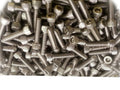 DS (Qty 1600pcs) 1/4-20x1 Socket Allen Head Cap Screw Stainless Steel 1/4 x 1' inch Multi-Purpose Comprehensive Hardware Fastener Assortment Kit Cit00943Riv