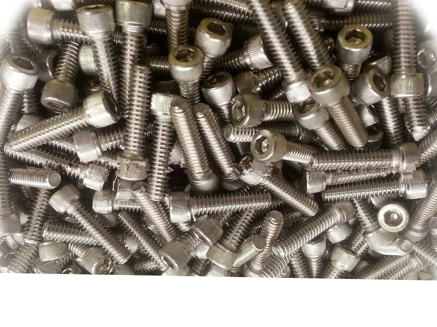 DS (Qty 1600pcs) 1/4-20x1 Socket Allen Head Cap Screw Stainless Steel 1/4 x 1' inch Multi-Purpose Comprehensive Hardware Fastener Assortment Kit Cit00943Riv