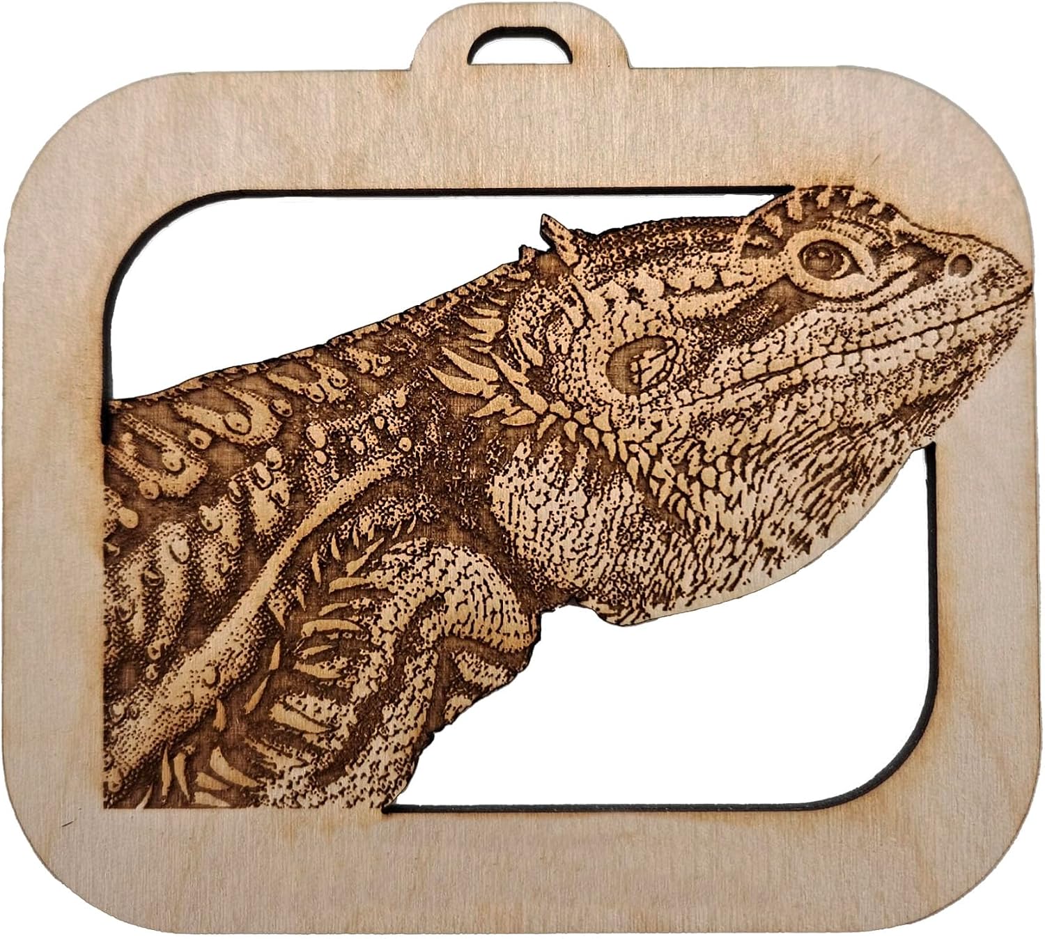 10PK Personalized Bearded Dragon Christmas Ornament, Unique Bearded Dragon Themed Gifts for Reptile Lovers, Exotic Pet Christmas Decorations, Handmade in The USA