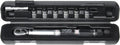 Pro Torque Wrench, inc. 3/4/5/6mm Allen and T25/30, One Size, PRS100340