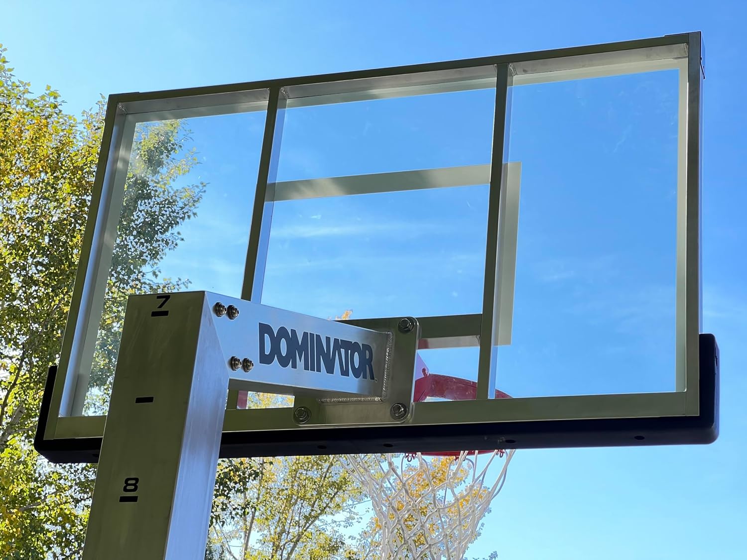 DOMINATOR Premium Inground Adjustable Basketball Hoop - 54' Backboard w/ 2.5' Overhang - Aluminum Adjustable Basketball Goal - Adjusts from 7.5' - 10', Made of Heavy Duty Rust Proof Aluminum