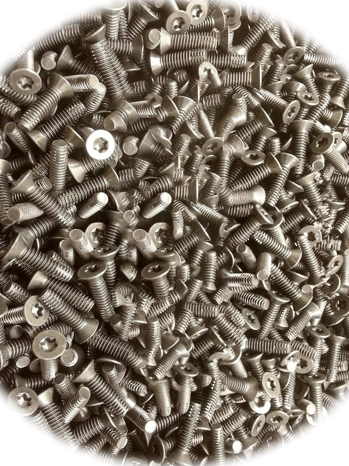 (Qty 500pcs) 1/4-20 x 1' inch Trailer Floor Floorboard/Deck Screws T-30 Drive 1/4 x 1 Hardware Fastener Kit Set RV8681S