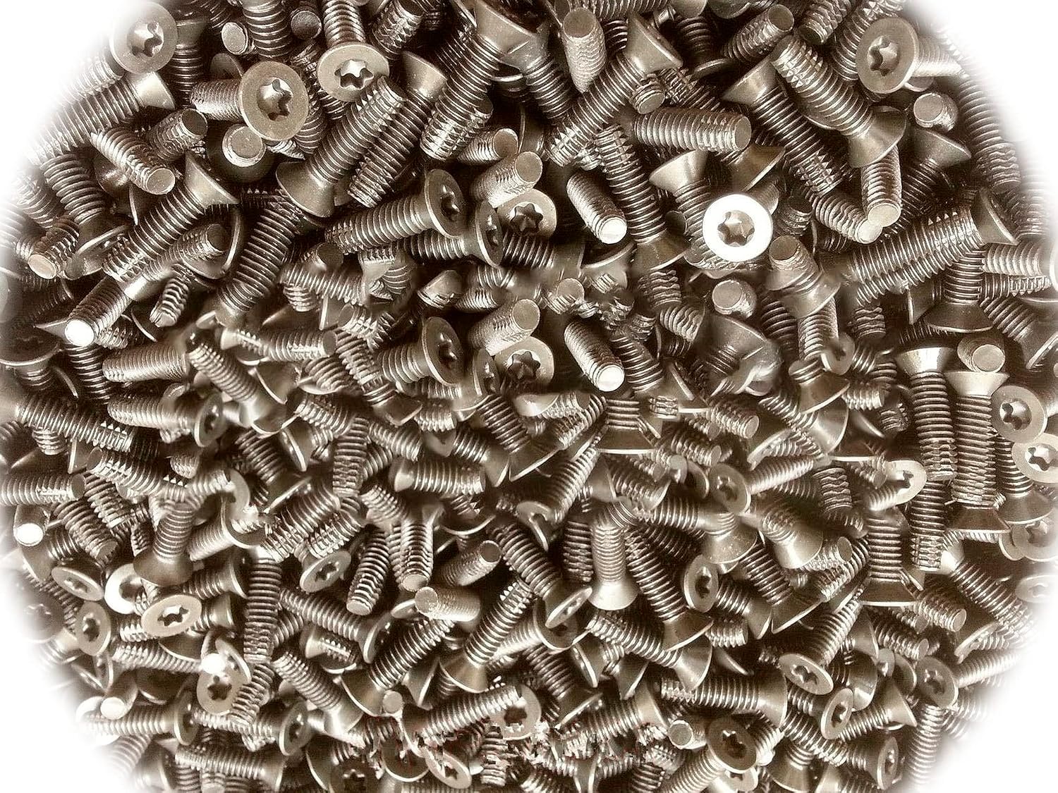 (Qty 500pcs) 1/4-20 x 1' inch Trailer Floor Floorboard/Deck Screws T-30 Drive 1/4 x 1 Multi-Purpose Comprehensive Hardware Fastener Assortment Kit Cit01319Riv