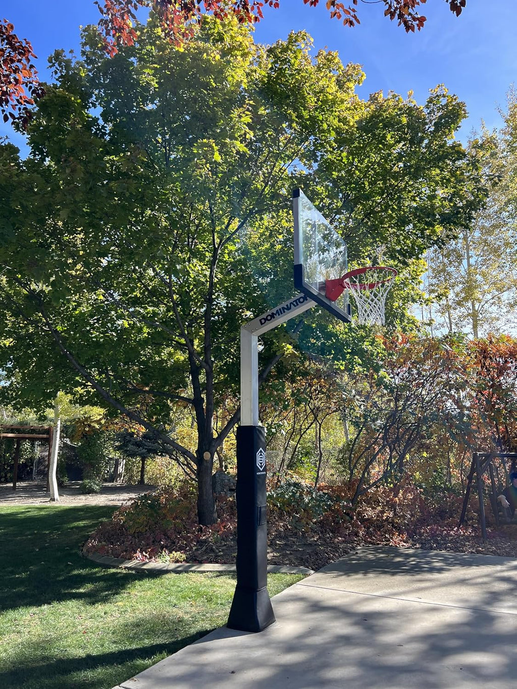 DOMINATOR Premium Inground Adjustable Basketball Hoop - 54' Backboard w/ 2.5' Overhang - Aluminum Adjustable Basketball Goal - Adjusts from 7.5' - 10', Made of Heavy Duty Rust Proof Aluminum